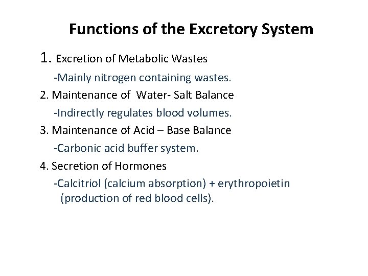 Functions of the Excretory System 1. Excretion of Metabolic Wastes -Mainly nitrogen containing wastes.