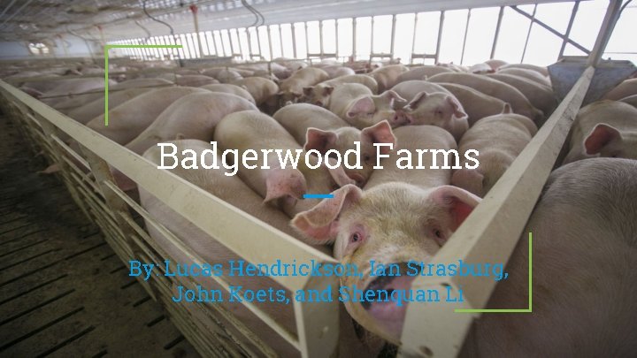 Badgerwood Farms By: Lucas Hendrickson, Ian Strasburg, John Koets, and Shenquan Li 