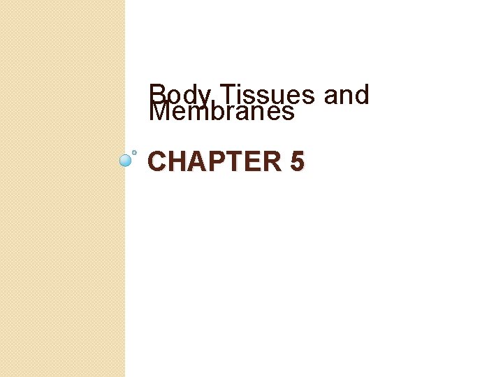 Body Tissues and Membranes CHAPTER 5 