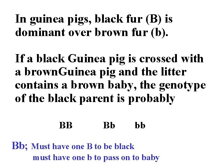 In guinea pigs, black fur (B) is dominant over brown fur (b). If a