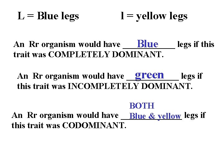 L = Blue legs l = yellow legs An Rr organism would have ______