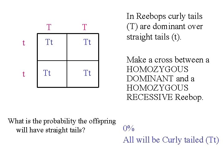 t t T T Tt Tt In Reebops curly tails (T) are dominant over