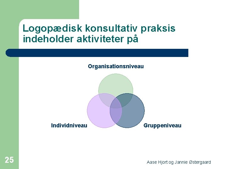 Logopædisk konsultativ praksis indeholder aktiviteter på Organisationsniveau Individniveau 25 Gruppeniveau Aase Hjort og Jannie