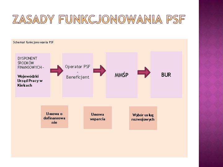 Schemat funkcjonowania PSF DYSPONENT ŚRODKÓW FINANSOWYCH – Wojewódzki Urząd Pracy w Kielcach Operator PSF