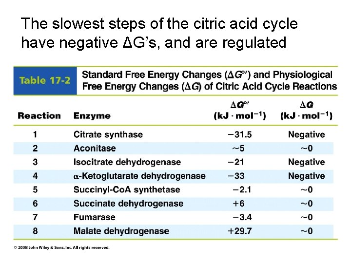 The slowest steps of the citric acid cycle have negative ΔG’s, and are regulated The slowest steps of the citric acid cycle have negative ΔG’s, and are regulated