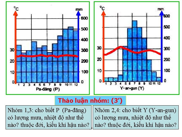 Thảo luận nhóm: (3’) Nhóm 1, 3: cho biết P (Pa-đăng) Nhóm 2, 4: