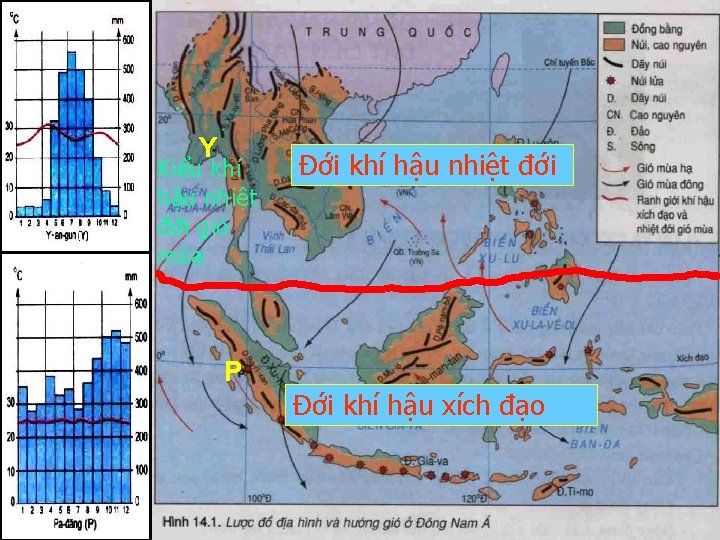 Y Kiểu khí hậu nhiệt đới gió mùa Đới khí hậu nhiệt đới P