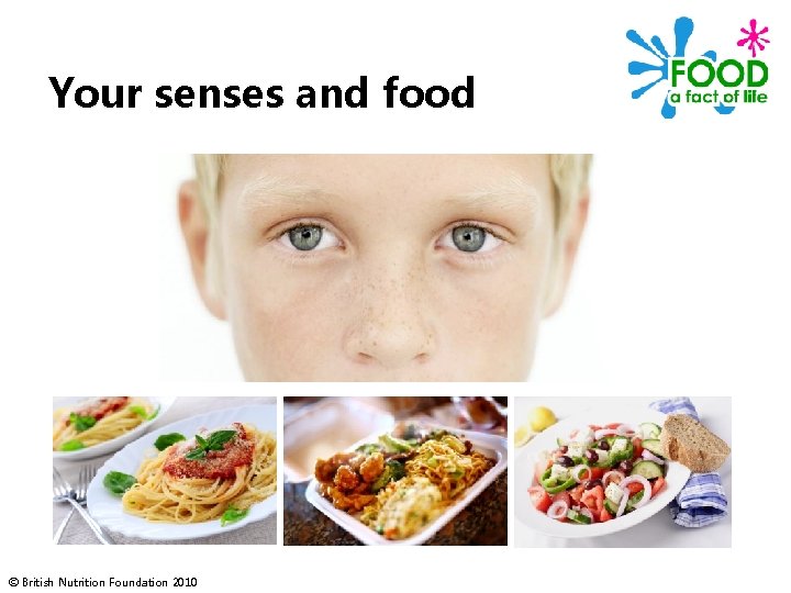 Your senses and food © British Nutrition Foundation 2010 