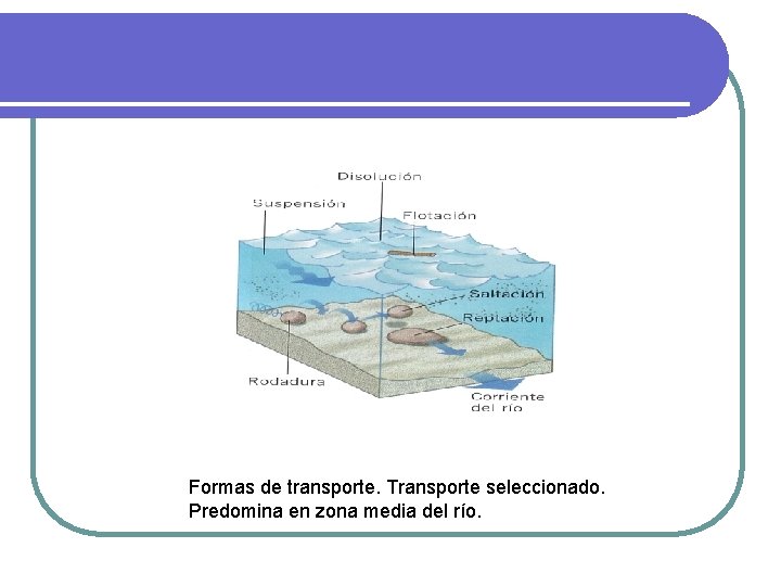 Formas de transporte. Transporte seleccionado. Predomina en zona media del río. Formas de transporte. Transporte seleccionado. Predomina en zona media del río.