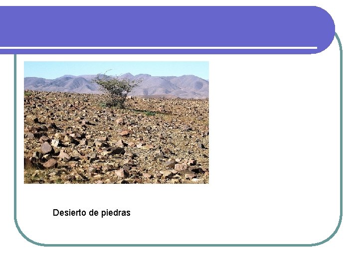Desierto de piedras Desierto de piedras