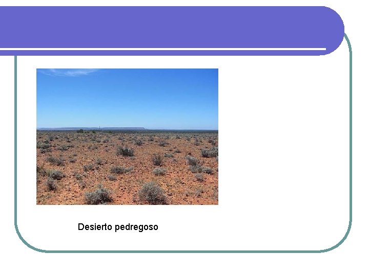 Desierto pedregoso Desierto pedregoso