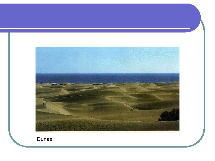 Dunas Dunas