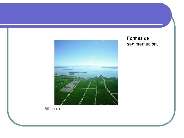 Formas de sedimentación. Albufera Formas de sedimentación. Albufera