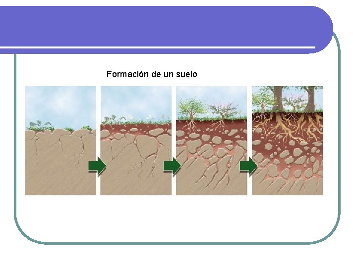 Formación de un suelo Formación de un suelo