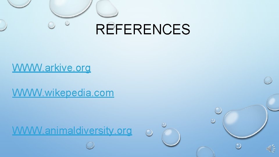 REFERENCES WWW. arkive. org WWW. wikepedia. com WWW. animaldiversity. org 