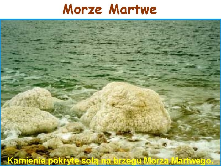 Morze Martwe Kamienie pokryte solą na brzegu Morza Martwego. 