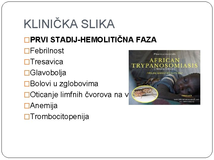 KLINIČKA SLIKA �PRVI STADIJ-HEMOLITIČNA FAZA �Febrilnost �Tresavica �Glavobolja �Bolovi u zglobovima �Oticanje limfnih čvorova