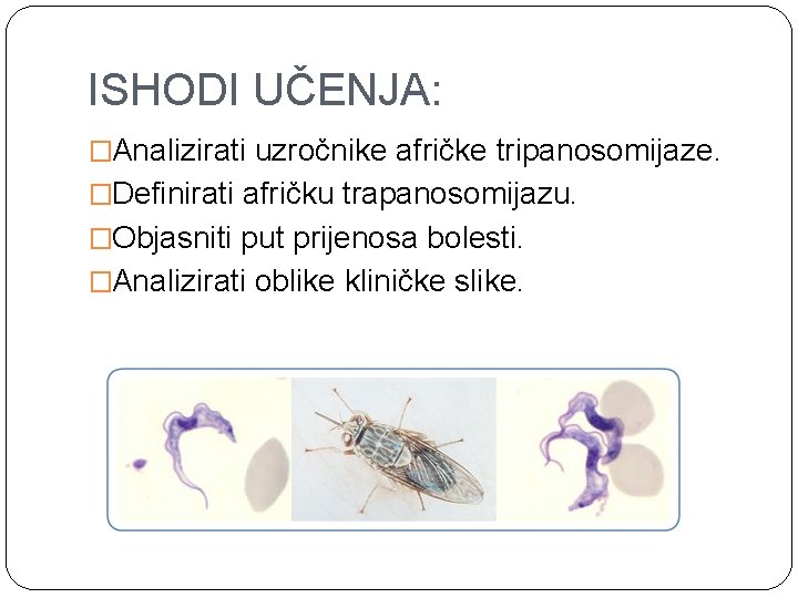 ISHODI UČENJA: �Analizirati uzročnike afričke tripanosomijaze. �Definirati afričku trapanosomijazu. �Objasniti put prijenosa bolesti. �Analizirati