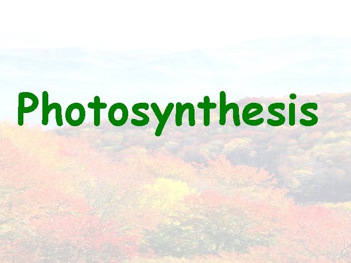 Photosynthesis 