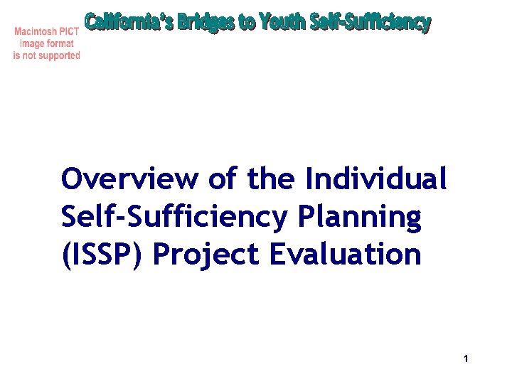 Overview of the Individual Self-Sufficiency Planning (ISSP) Project Evaluation 1 