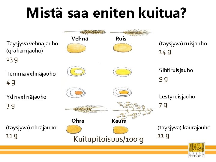 Mistä saa eniten kuitua? Täysjyvä vehnäjauho (grahamjauho) Vehnä Ruis 14 g 13 g Sihtiruisjauho