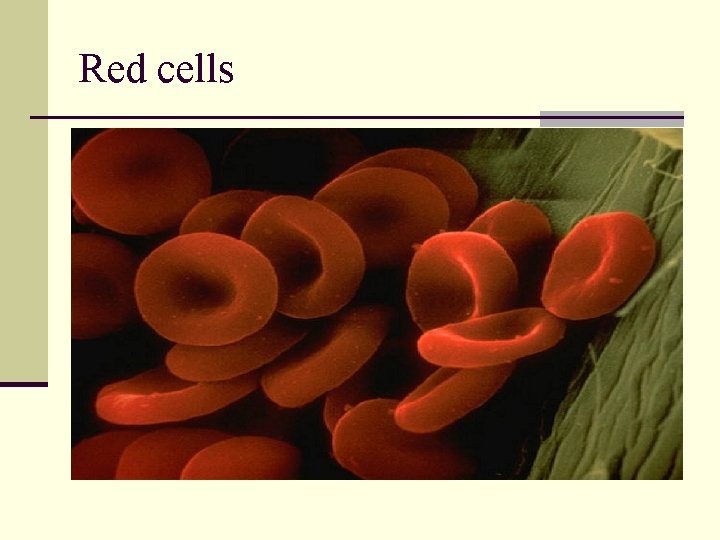 Red cells Red cells