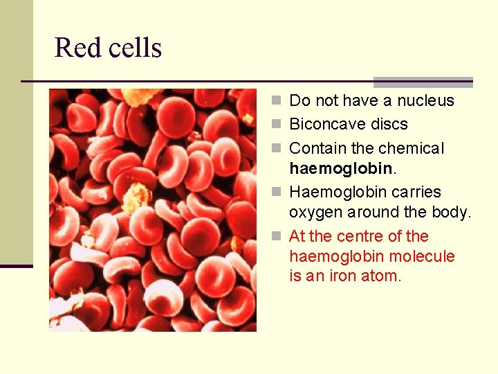 Red cells n Do not have a nucleus n Biconcave discs n Contain the Red cells n Do not have a nucleus n Biconcave discs n Contain the