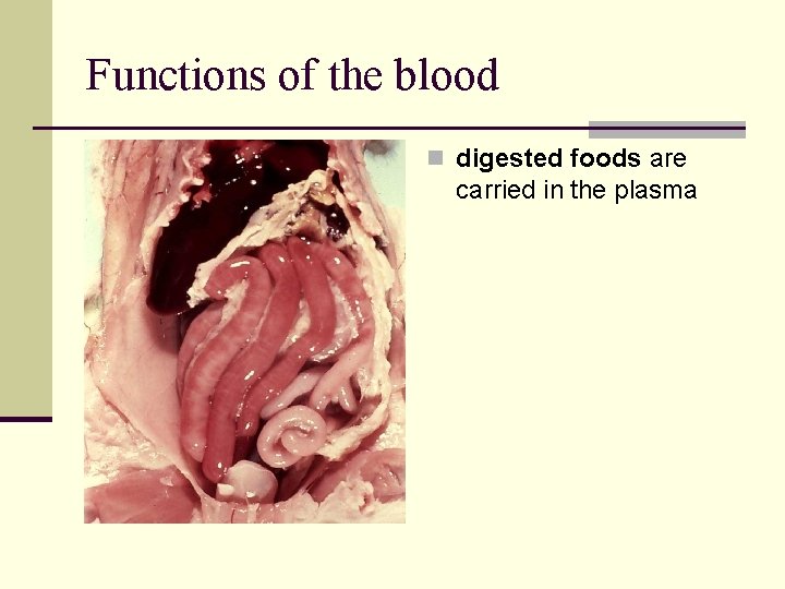 Functions of the blood n digested foods are carried in the plasma Functions of the blood n digested foods are carried in the plasma