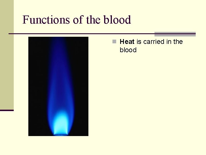 Functions of the blood n Heat is carried in the blood Functions of the blood n Heat is carried in the blood