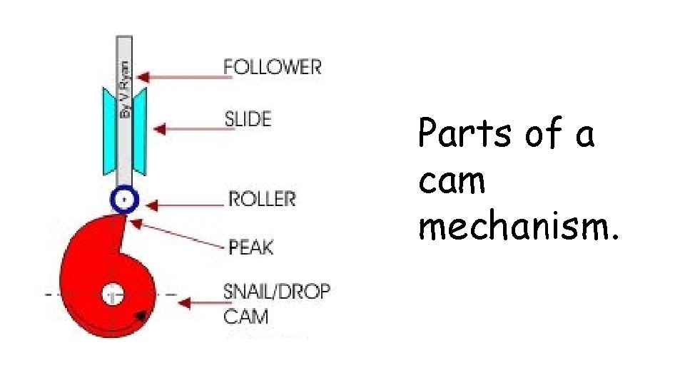 Parts of a cam mechanism. 