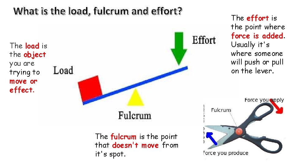 What is the load, fulcrum and effort? The load is the object you are