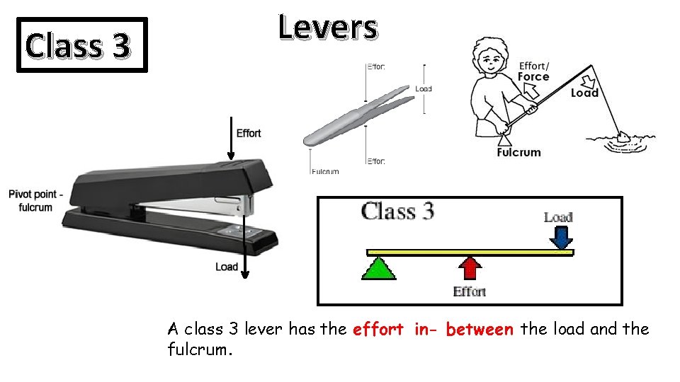 Class 3 Levers A class 3 lever has the effort in- between the load