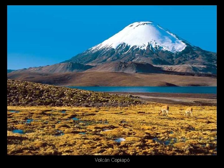 Volcán Copiapó 