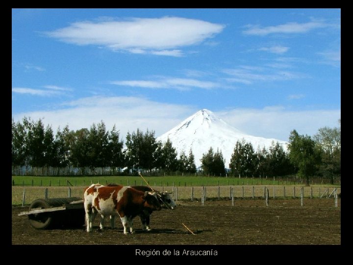 Región de la Araucanía 