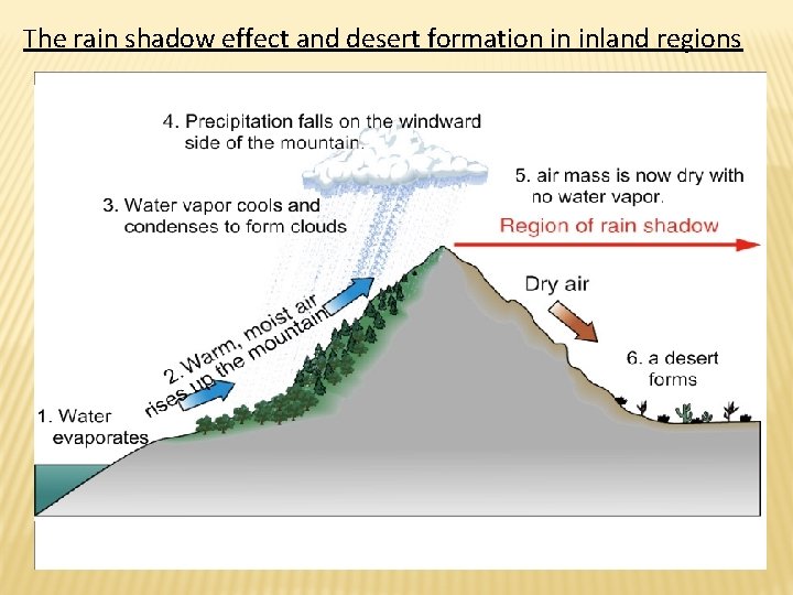 The rain shadow effect and desert formation in inland regions 