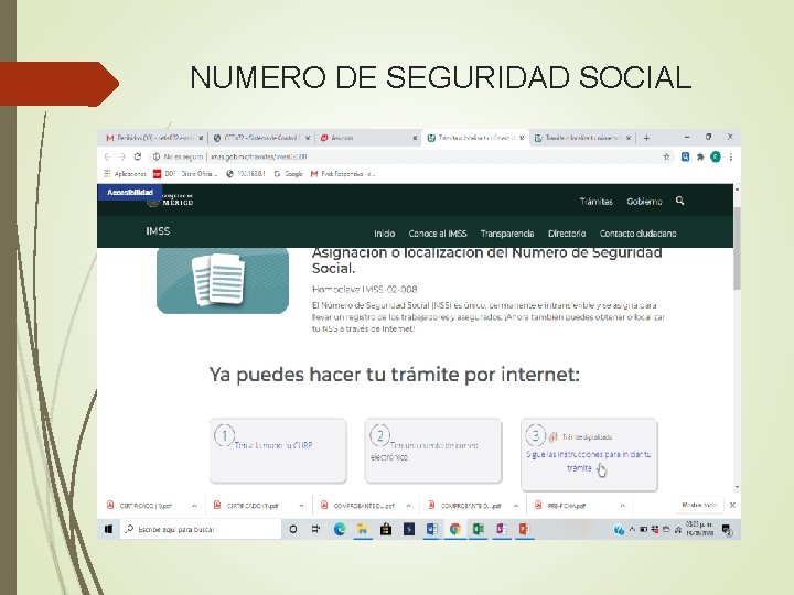 NUMERO DE SEGURIDAD SOCIAL 