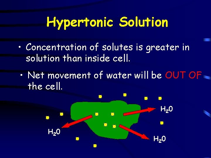 Hypertonic Solution • Concentration of solutes is greater in solution than inside cell. •
