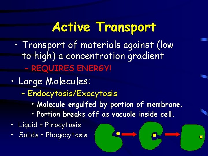 Active Transport • Transport of materials against (low to high) a concentration gradient –