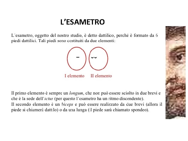 L’ESAMETRO 