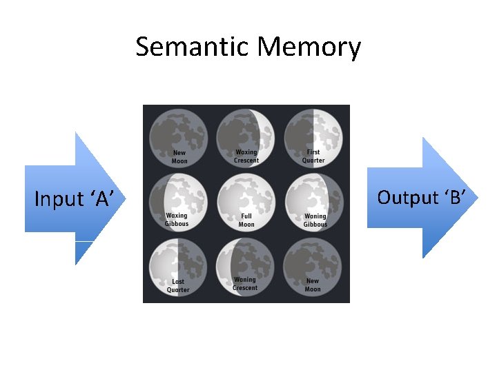 Semantic Memory Input ‘A’ Output ‘B’ 