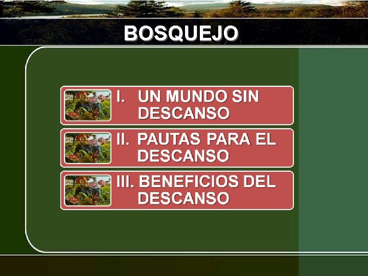 BOSQUEJO 