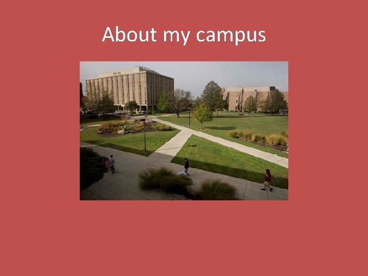 About my campus 