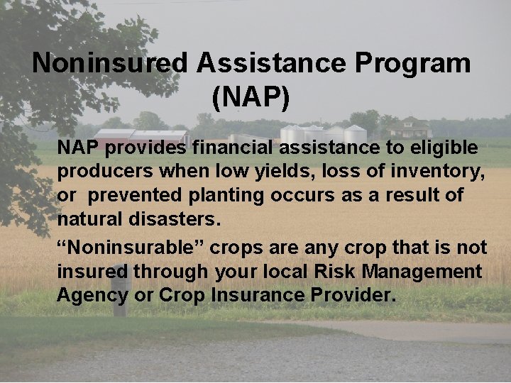  • Table 2. Corn Marketing Loan Gain/Loan Deficiency Payment Examples Noninsured Assistance Program