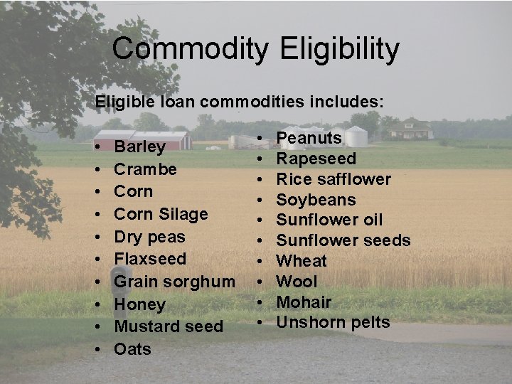 Commodity Eligibility Eligible loan commodities includes: • • • Barley Crambe Corn Silage Dry