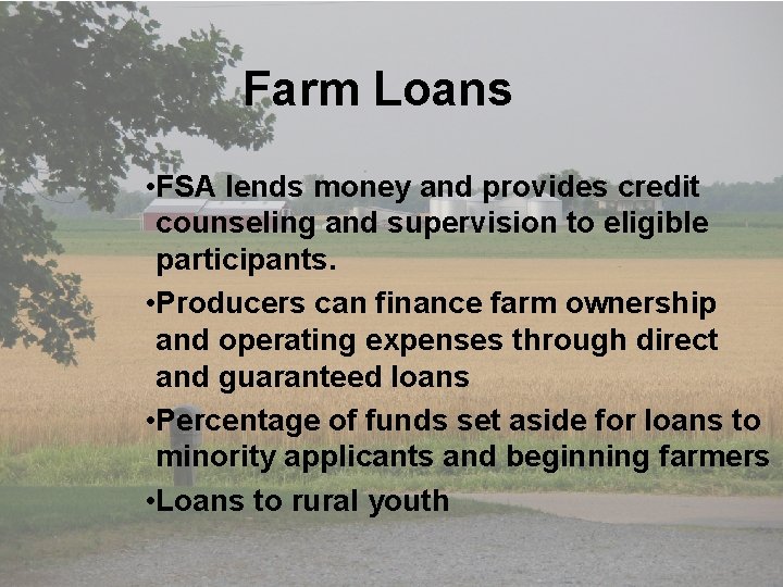  • Table 2. Corn Marketing Loan Gain/Loan Deficiency Payment Examples Farm Loans •