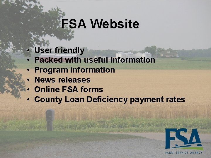 FSA Website • • • User friendly Packed with useful information Program information News