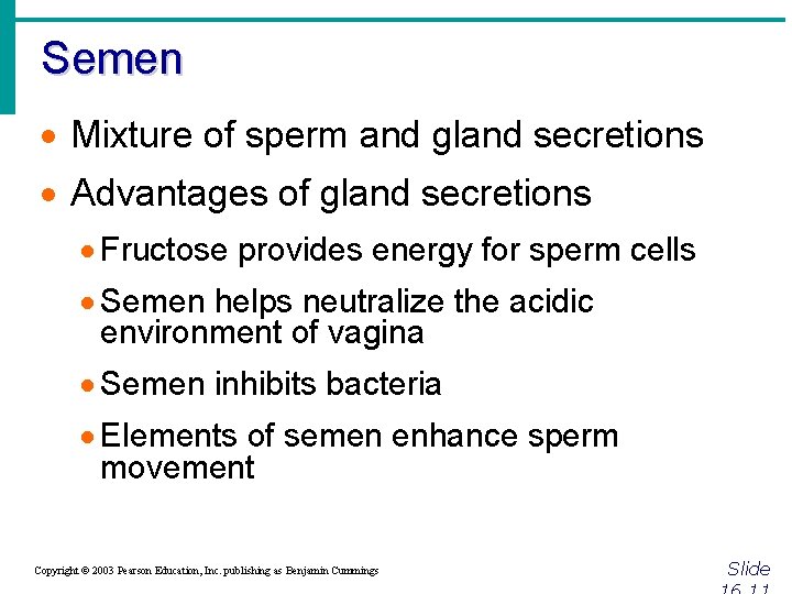 Semen · Mixture of sperm and gland secretions · Advantages of gland secretions ·