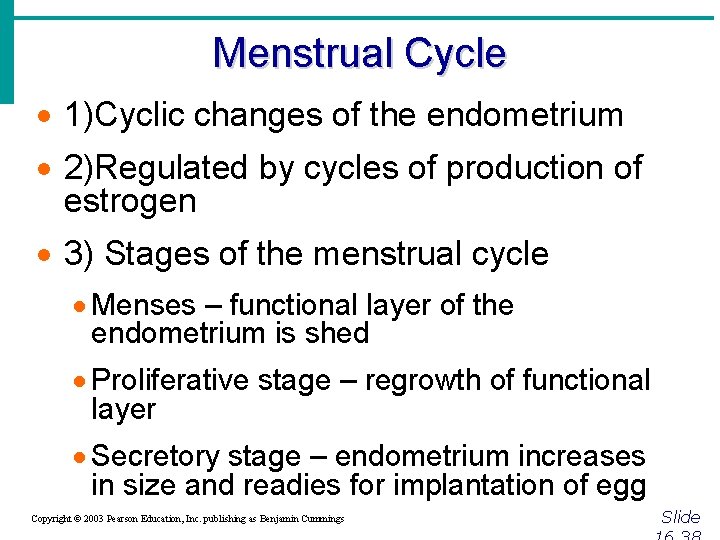 Menstrual Cycle · 1)Cyclic changes of the endometrium · 2)Regulated by cycles of production