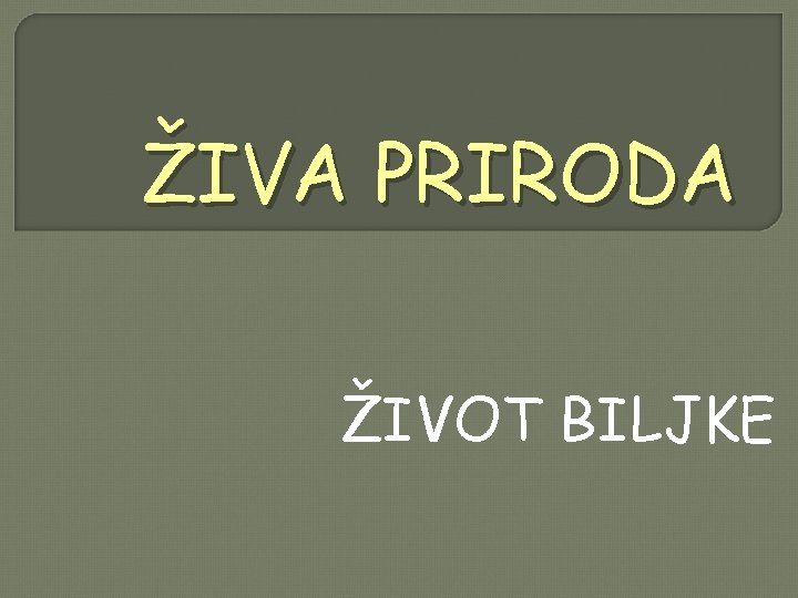 ŽIVA PRIRODA ŽIVOT BILJKE 