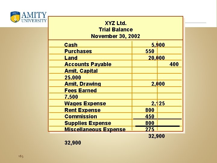 XYZ Ltd. Trial Balance November 30, 2002 Cash Purchases Land Accounts Payable Amit, Capital